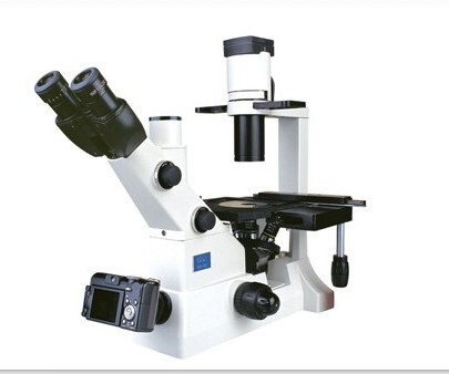 1762327767303866.jpg cbbd1992-227a-4fbd-b70e-2b19f979f8df.jpg_1180xaf.jpg