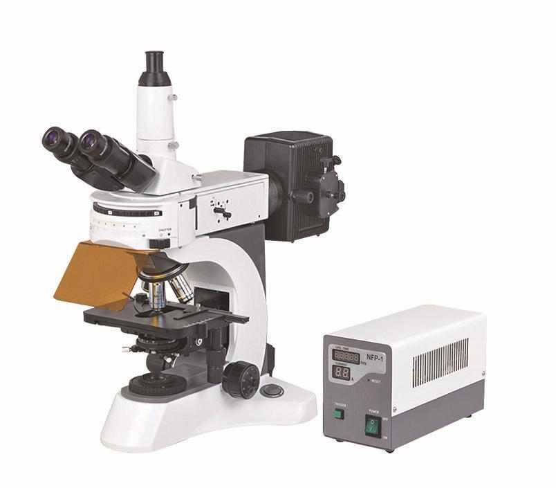 1762328193161647.jpg 6cb5f766-f618-4705-b408-8b41332159e4.jpg_1180xaf.jpg